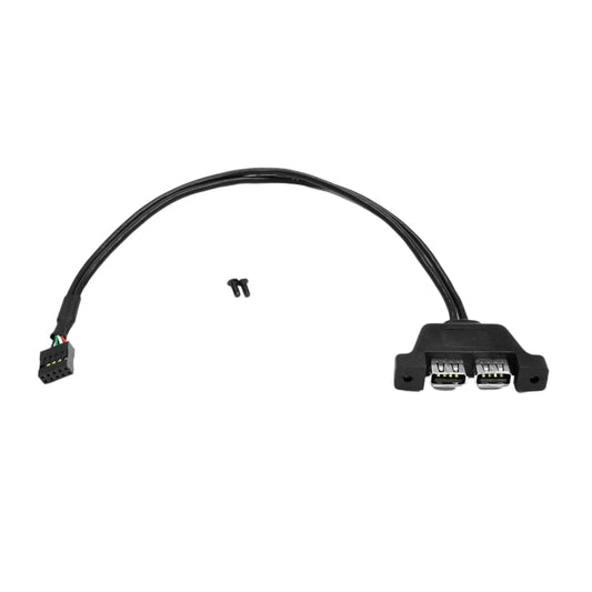 ASRock DESKMINI 2 x USB 2.0 Interface Adapter Cable-0