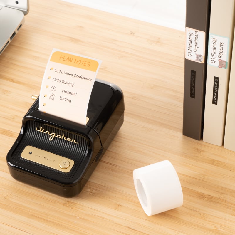 Niimbot B21 Portable Thermal Label Printer - Black-2