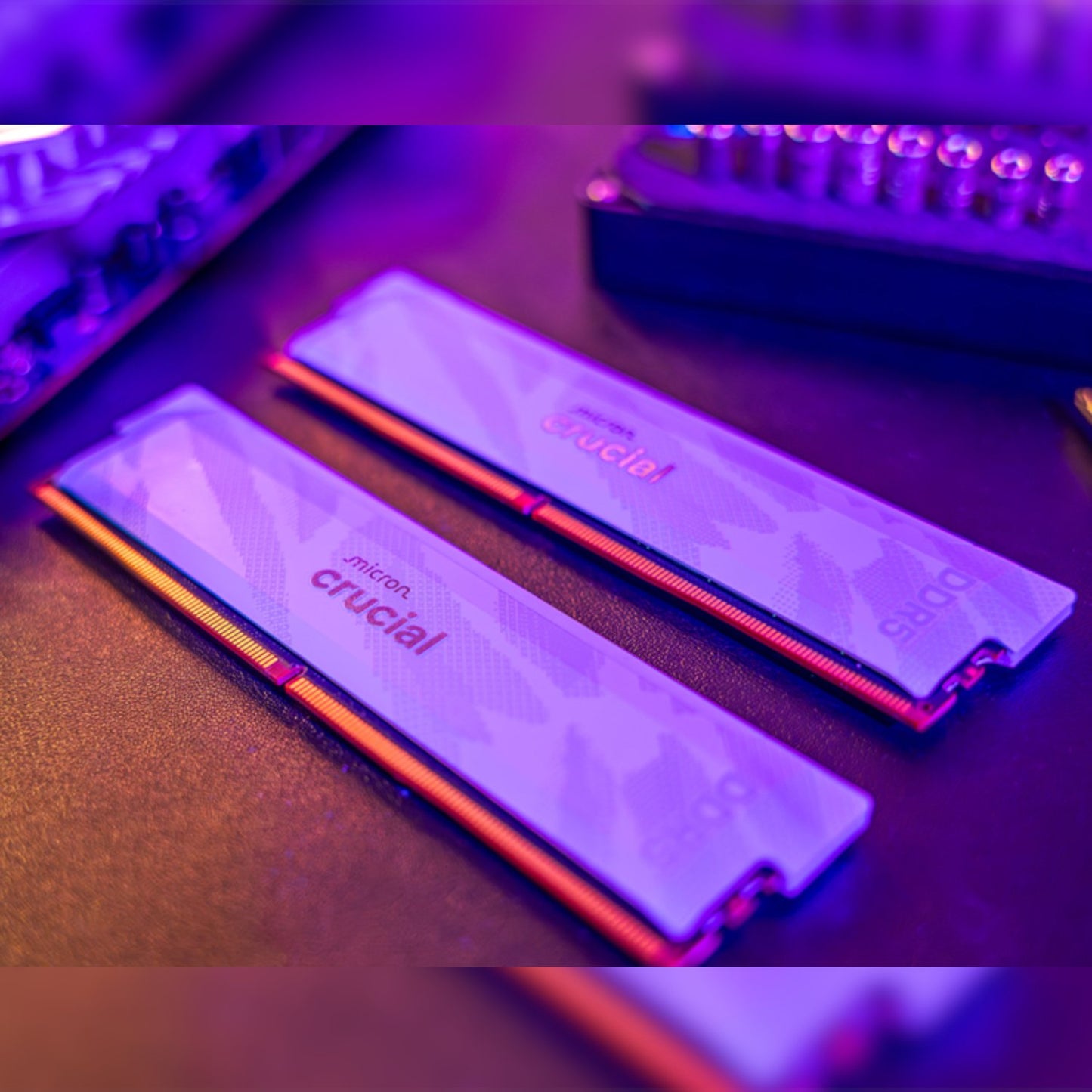 Crucial Pro Overclocking DDR5-6400 32GB Desktop Gaming Memory Kit (16GB x 2) – White-3