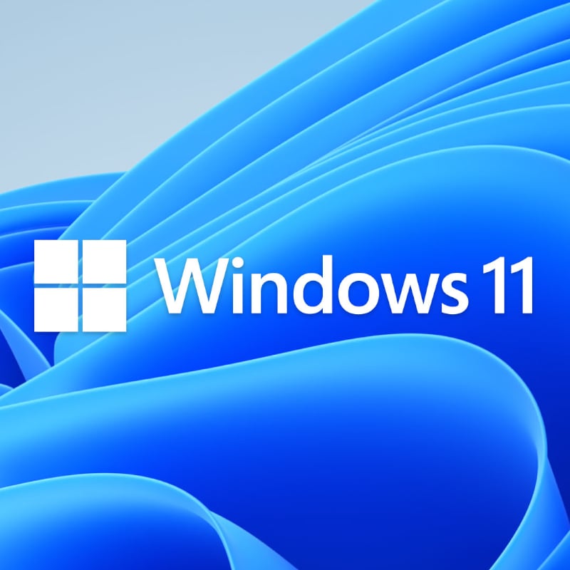 MICROSOFT WIN 11 PRO 64BIT DSP-1