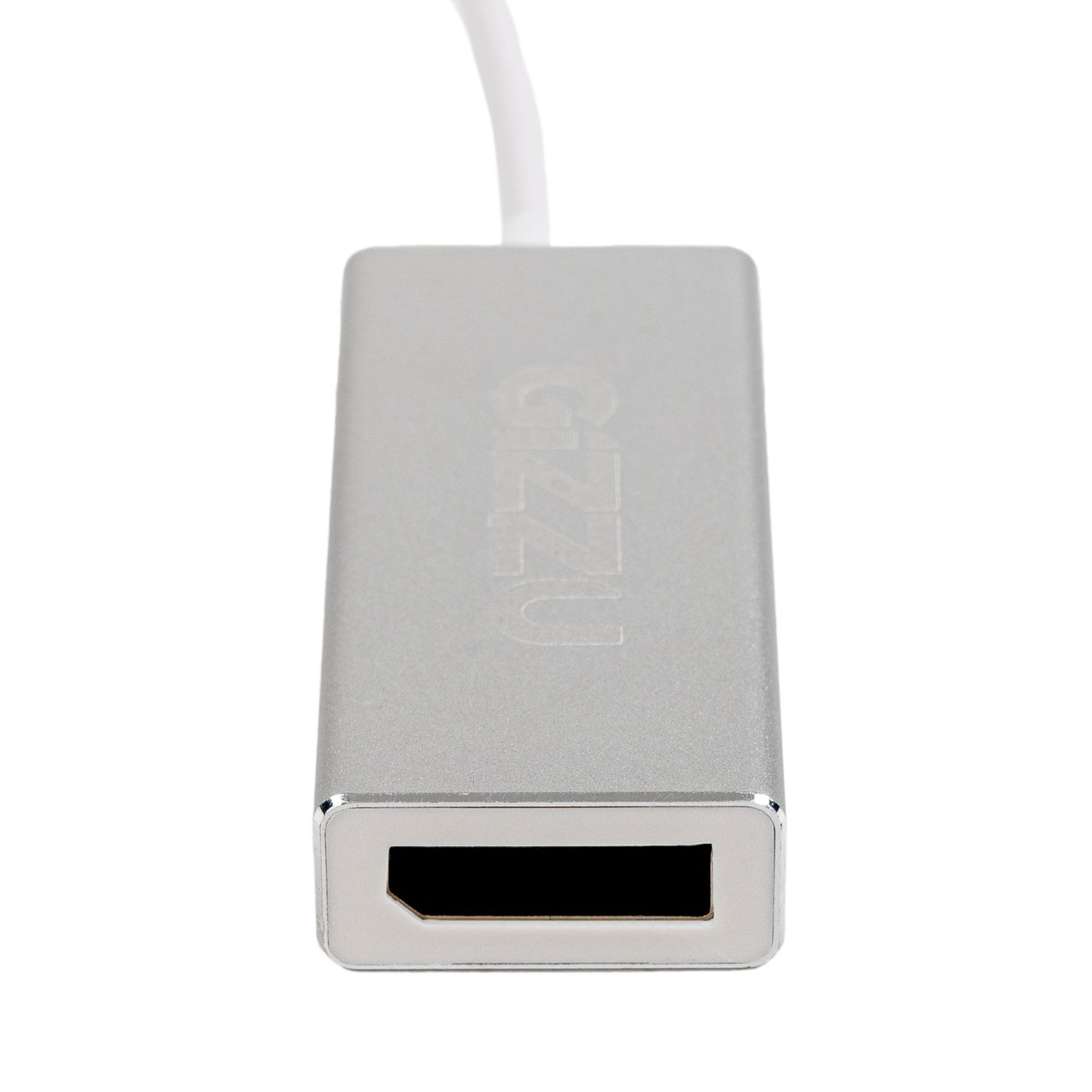Gizzu 4K60Hz Type-C to DisplayPort Adapter-1