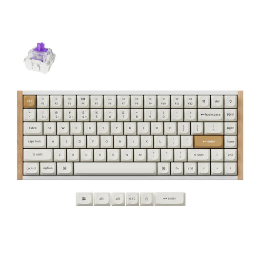 Keychron K2 HE Wireless Special Edition Magnetic Custom Keyboard | NEBULA Switch – White-0