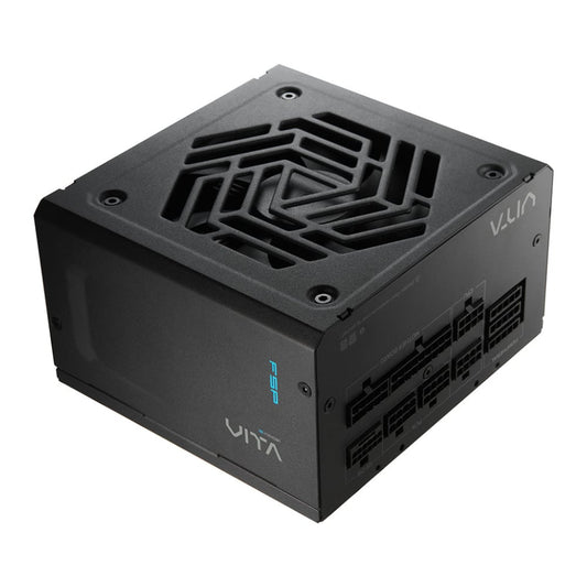 FSP VITA GM 850W 80 PLUS Gold Modular Power Supply-0